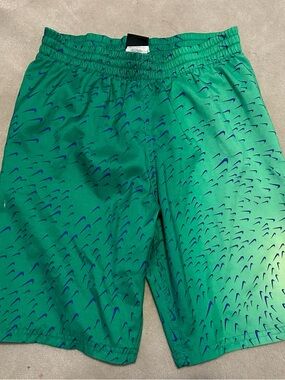 Nike Swim Shorts for Boys